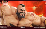 Zangief View 15