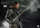 Sandor Clegane The Hound (Prototype Shown) View 7