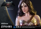Wonder Woman (Prototype Shown) View 13