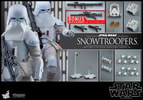Snowtroopers (Prototype Shown) View 16