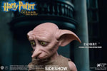 Dobby (Prototype Shown) View 5