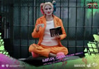Harley Quinn Prisoner Version