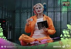 Harley Quinn Prisoner Version