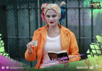 Harley Quinn Prisoner Version