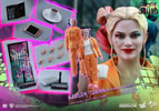 Harley Quinn Prisoner Version