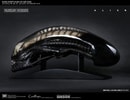 Alien Head Prop Replica by H.R. Giger | Sideshow Collectibles