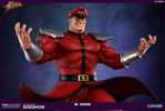 M. Bison (Prototype Shown) View 15