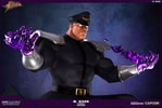 M Bison Player 2 Exclusive Edition View 8