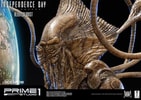 Alien Colonist (Prototype Shown) View 24