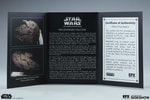 Millennium Falcon View 20