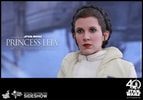 Princess Leia- Prototype Shown
