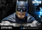 Batman Blue Version Exclusive Edition (Prototype Shown) View 15