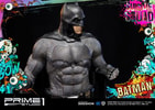 Batman Collector Edition (Prototype Shown) View 22