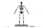 Mark I Endoskeleton (Prototype Shown) View 2