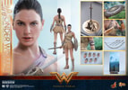 Wonder Woman Training Armor Version (Prototype Shown) View 20