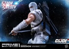 Storm Shadow Collector Edition (Prototype Shown) View 24