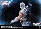 Storm Shadow Collector Edition (Prototype Shown) View 26