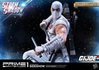 Storm Shadow Exclusive Edition (Prototype Shown) View 3