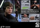 Luke Skywalker (Prototype Shown) View 22