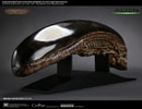 Alien New Warrior Life-Size Head (Prototype Shown) View 6