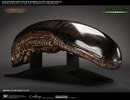 Alien New Warrior Life-Size Head (Prototype Shown) View 8