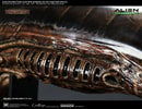 Alien New Warrior Life-Size Head (Prototype Shown) View 10