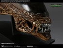 Alien New Warrior Life-Size Head (Prototype Shown) View 11