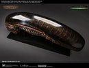 Alien New Warrior Life-Size Head (Prototype Shown) View 13