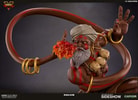 Dhalsim Collector Edition (Prototype Shown) View 8