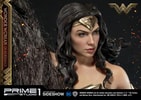 Wonder Woman  on Horseback