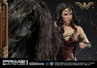 Wonder Woman  on Horseback