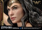 Wonder Woman  on Horseback