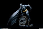 Batman (Prototype Shown) View 8