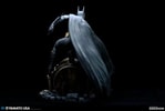 Batman (Prototype Shown) View 11