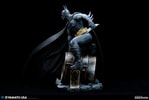Batman (Prototype Shown) View 12
