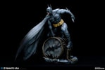 Batman (Prototype Shown) View 13