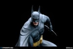 Batman (Prototype Shown) View 16