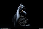 Batman (Prototype Shown) View 17