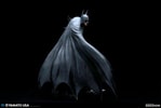 Batman (Prototype Shown) View 18