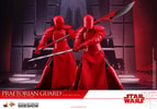 Praetorian Guard with Heavy Blade (Prototype Shown) View 11