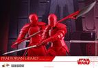 Praetorian Guard with Heavy Blade (Prototype Shown) View 12