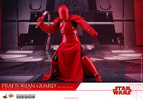 Praetorian Guard with Heavy Blade (Prototype Shown) View 13