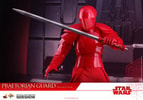 Praetorian Guard with Heavy Blade (Prototype Shown) View 18