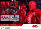 Praetorian Guard with Heavy Blade (Prototype Shown) View 20