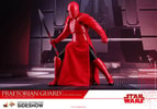 Praetorian Guard with Double Blade (Prototype Shown) View 14