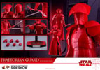 Praetorian Guard with Double Blade (Prototype Shown) View 15