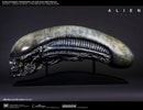Xenomorph Life-Size Head (Prototype Shown) View 1