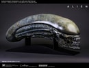 Xenomorph Life-Size Head (Prototype Shown) View 4