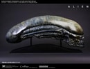 Xenomorph Life-Size Head (Prototype Shown) View 5