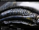 Xenomorph Life-Size Head (Prototype Shown) View 10